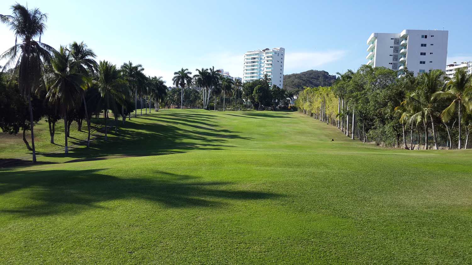 A morning on the green